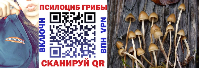 закладка  мориарти Telegram  Галлюциногенные грибы MAGIC MUSHROOMS  Моздок 